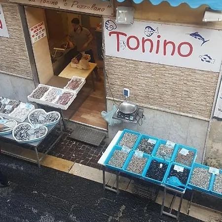 Cadifra Sirena Casa Dom wakacyjny *